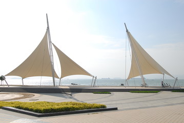 c5驾驶证怎么考