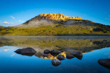 fruit和vegetable是可数还是不可数？