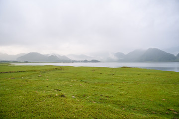 好听的猫英文名100个