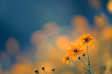 生活小常识200字广播稿