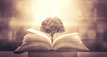 汽车故障码奔驰 C426