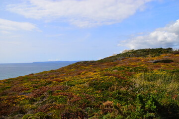 宝马x5插电混动上绿牌
