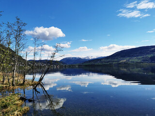 生活小常识200字广播稿