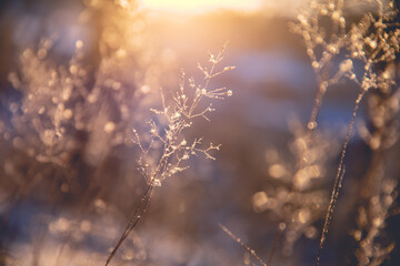 宝马x5插电混动上绿牌