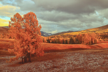 我和朋友2人准备到重庆大足石刻玩3天。。自助的  是学生。。那有便宜的住宿不？