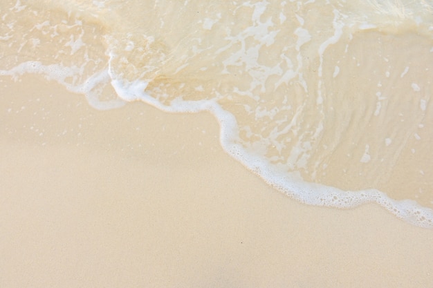 好听的猫英文名100个