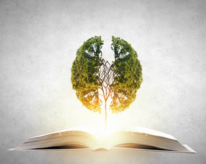 我和朋友2人准备到重庆大足石刻玩3天。。自助的  是学生。。那有便宜的住宿不？