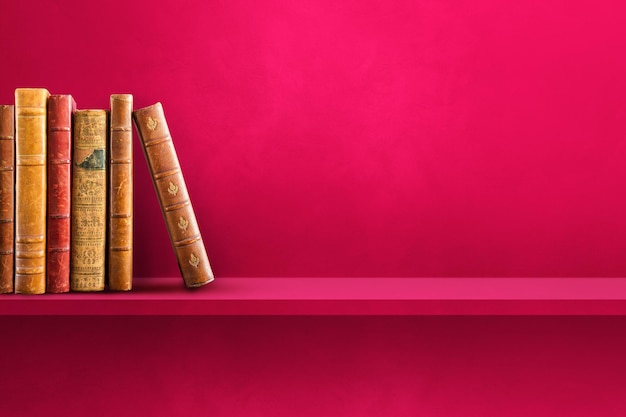 豌豆靠什么传播种子的方法有哪些（答案是自身弹射和动物）