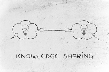 好听的猫英文名100个